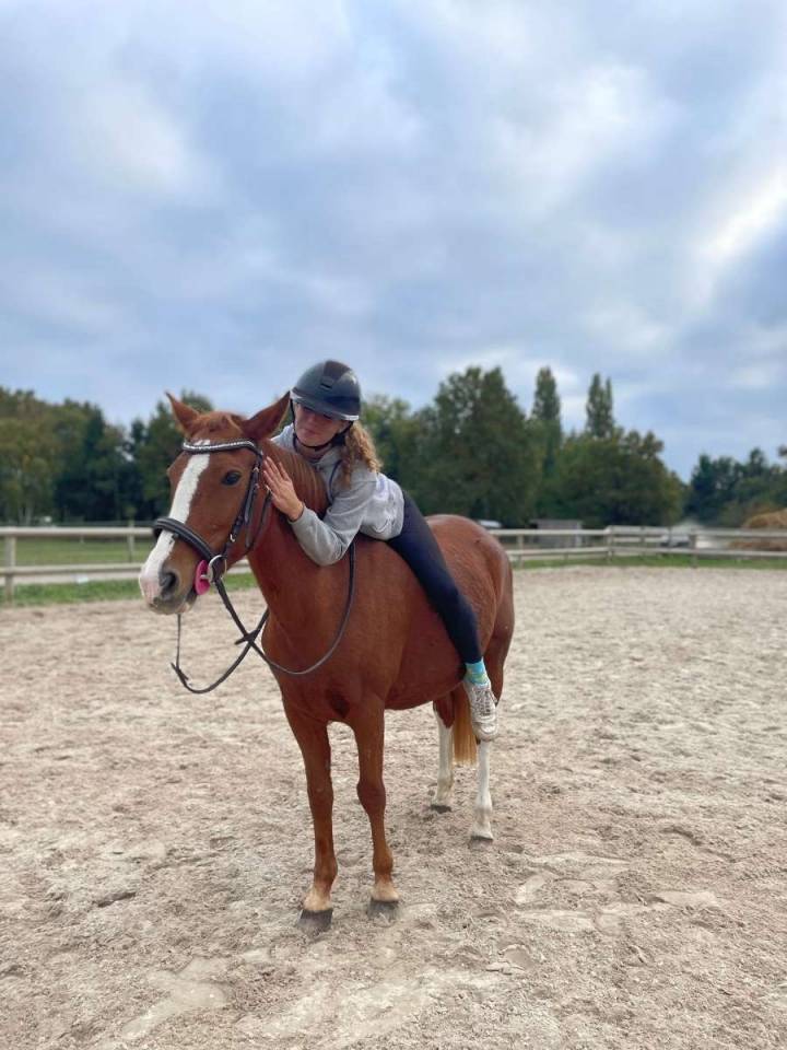 Merrie Franse rijpony PFS Te koop 2007 Vos
