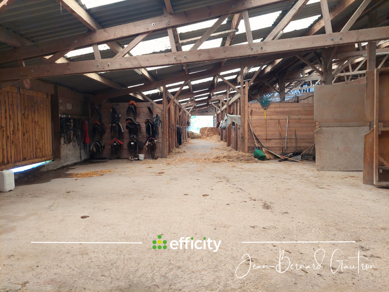 Ruiterclub Koop C&ocirc;te d'Armor