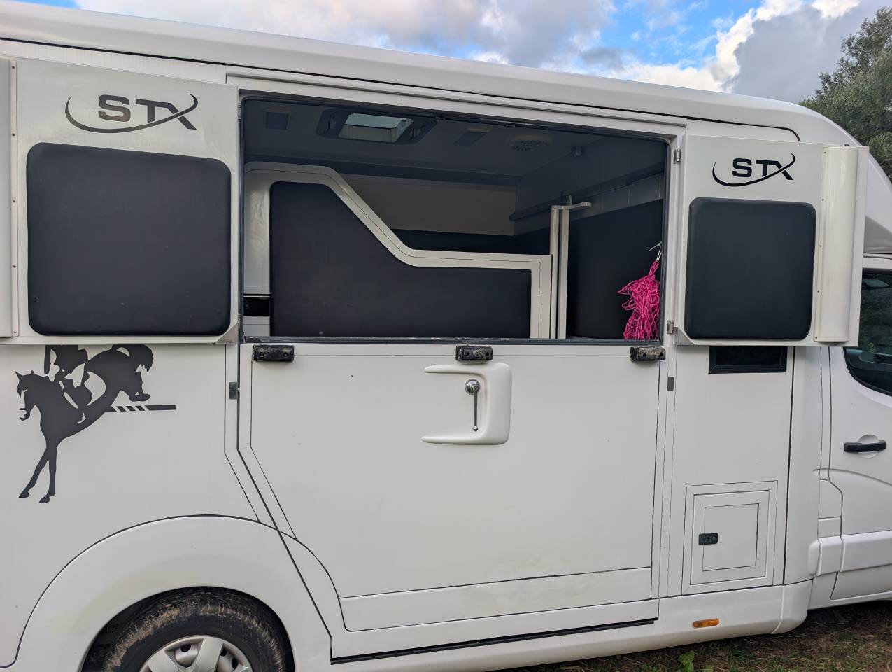 Kleine paardenvrachtwagen (B rijbewijs) Opel Movano 2018 Tweedehands