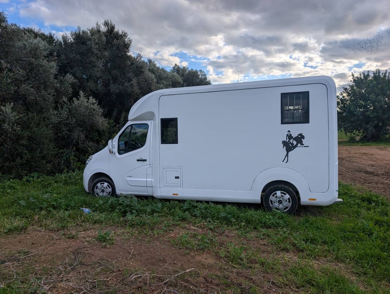 Kleine paardenvrachtwagen (B rijbewijs) Opel Movano 2018 Tweedehands