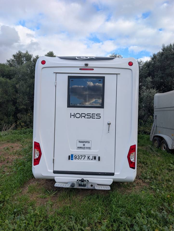 Kleine paardenvrachtwagen (B rijbewijs) Opel Movano 2018 Tweedehands