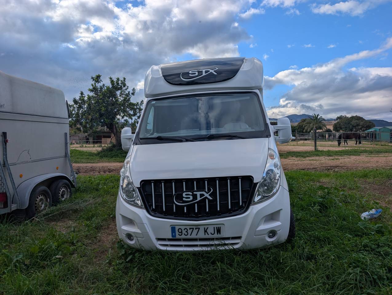 Kleine paardenvrachtwagen (B rijbewijs) Opel Movano 2018 Tweedehands