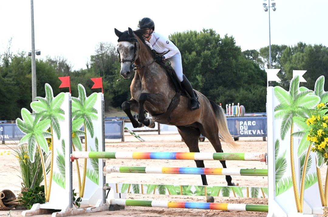 Merrie Selle Fran&ccedil;ais Te koop 2022 Schimmel ,  Cooper VD Heffnick 