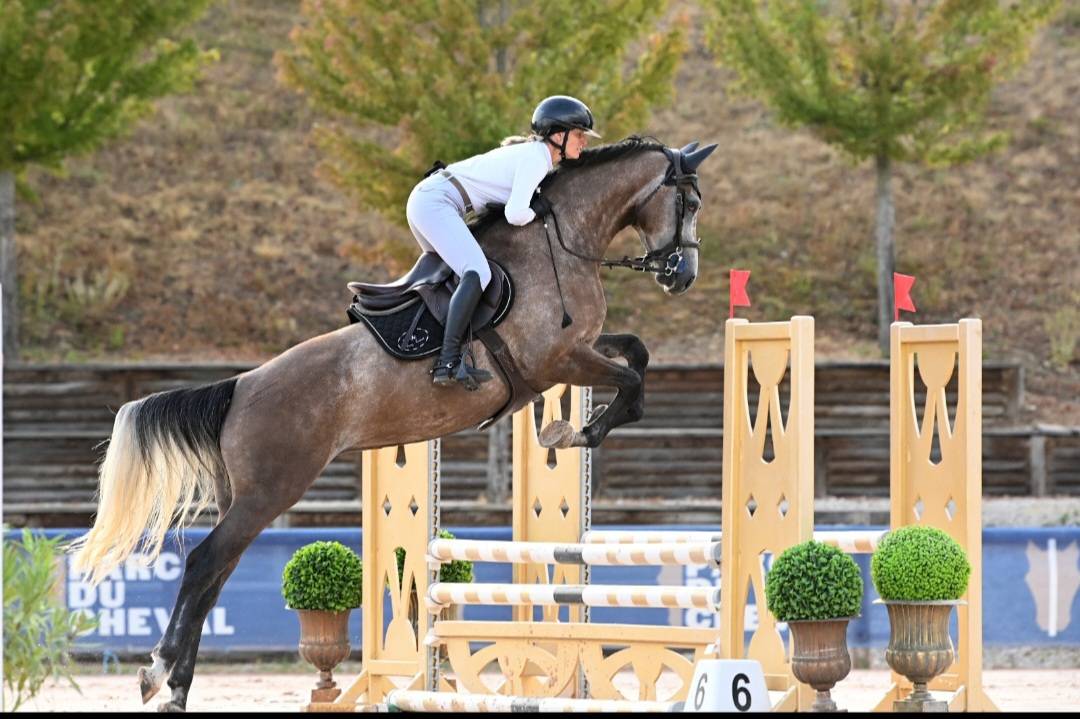 Merrie Selle Fran&ccedil;ais Te koop 2022 Schimmel ,  Cooper VD Heffnick 