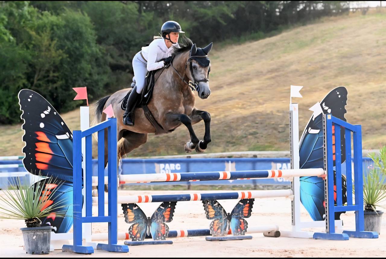 Merrie Selle Fran&ccedil;ais Te koop 2022 Schimmel ,  Cooper VD Heffnick 