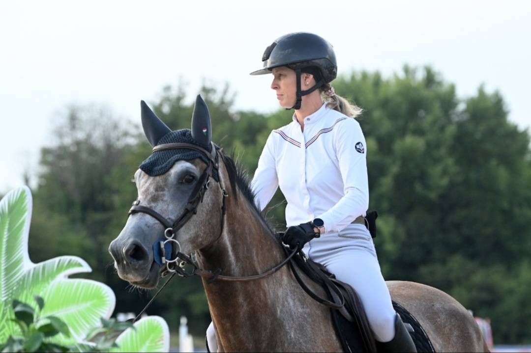 Merrie Selle Fran&ccedil;ais Te koop 2022 Schimmel ,  Cooper VD Heffnick 
