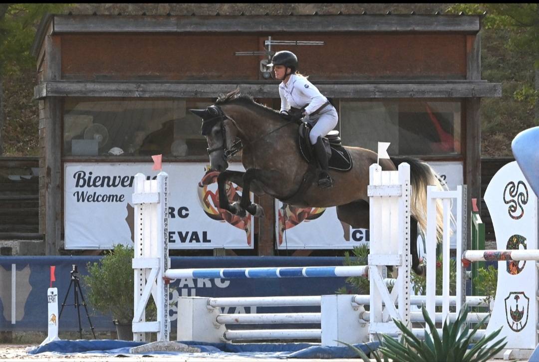 Merrie Selle Fran&ccedil;ais Te koop 2022 Schimmel ,  Cooper VD Heffnick 