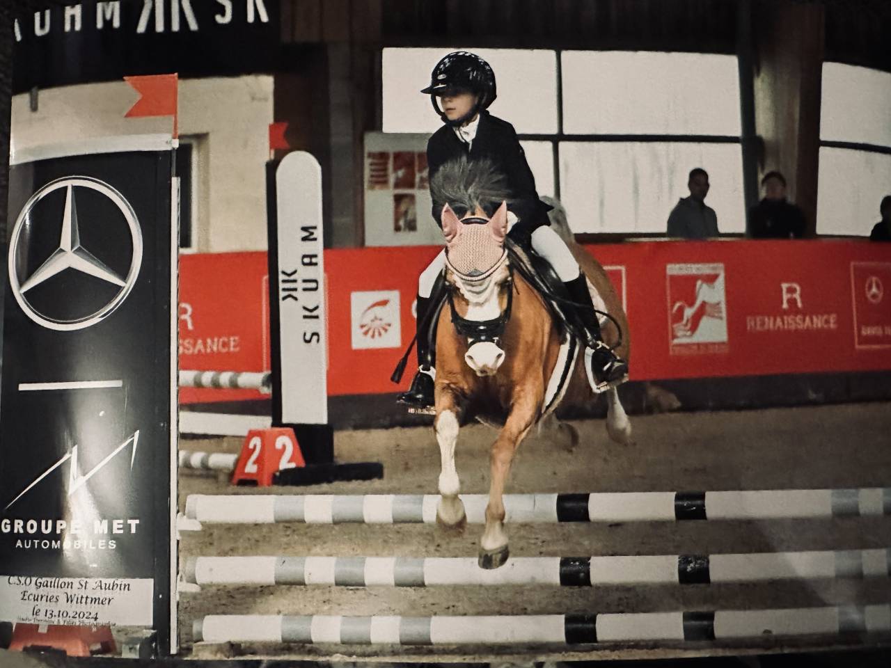 Merrie Andere paarden rassen Te koop 2014 Palomino ,  Shore Brooke Henessy