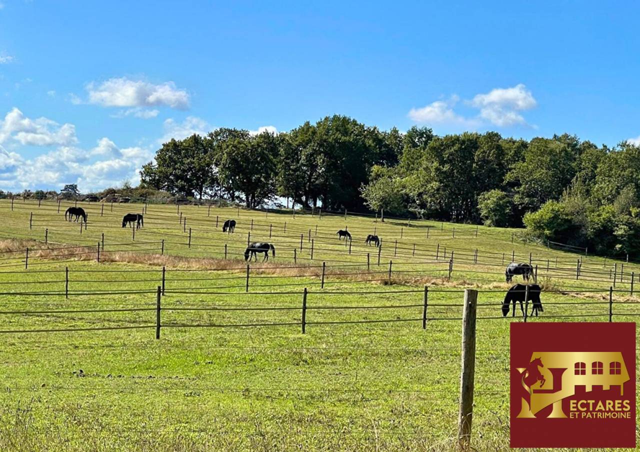 Hippisch vastgoed Koop Dordogne