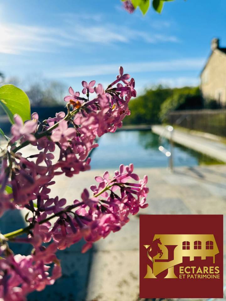 Hippisch vastgoed Koop Dordogne