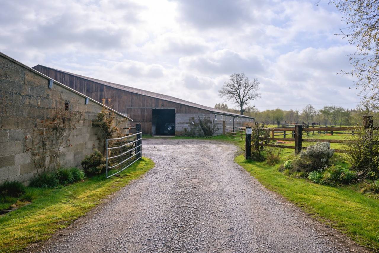 Hippisch vastgoed Koop Orne