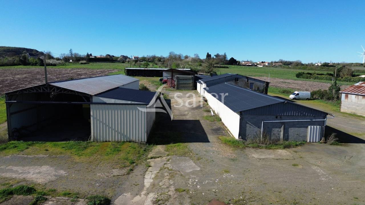 Schapen exploitatie Koop Deux-S&egrave;vres