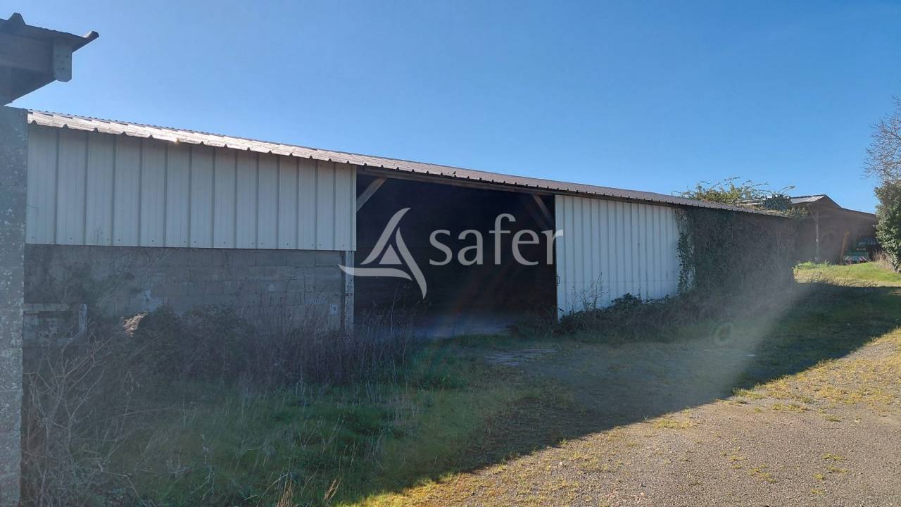 Schapen exploitatie Koop Deux-S&egrave;vres