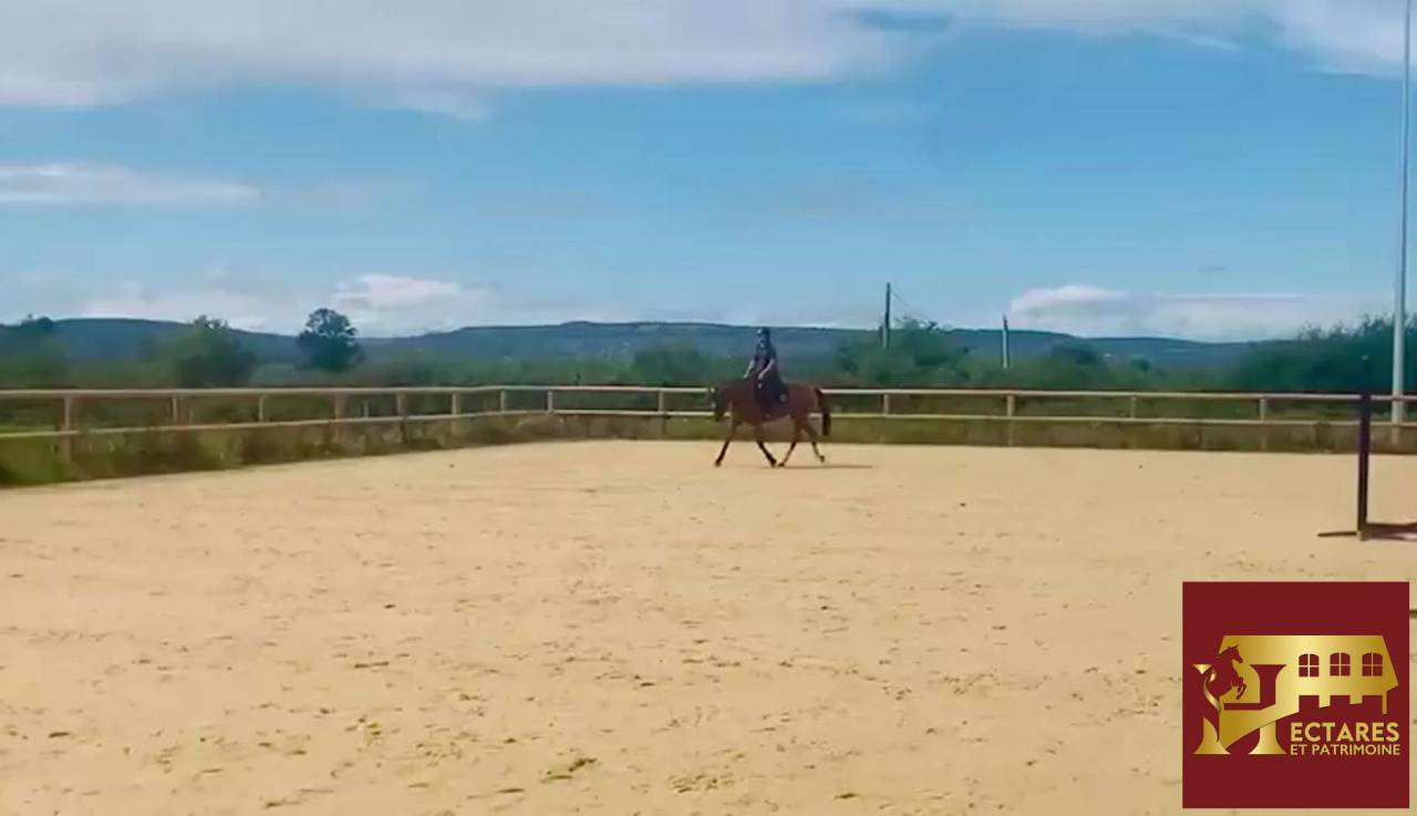 Hippisch vastgoed Koop Sa&ocirc;ne-et-Loire