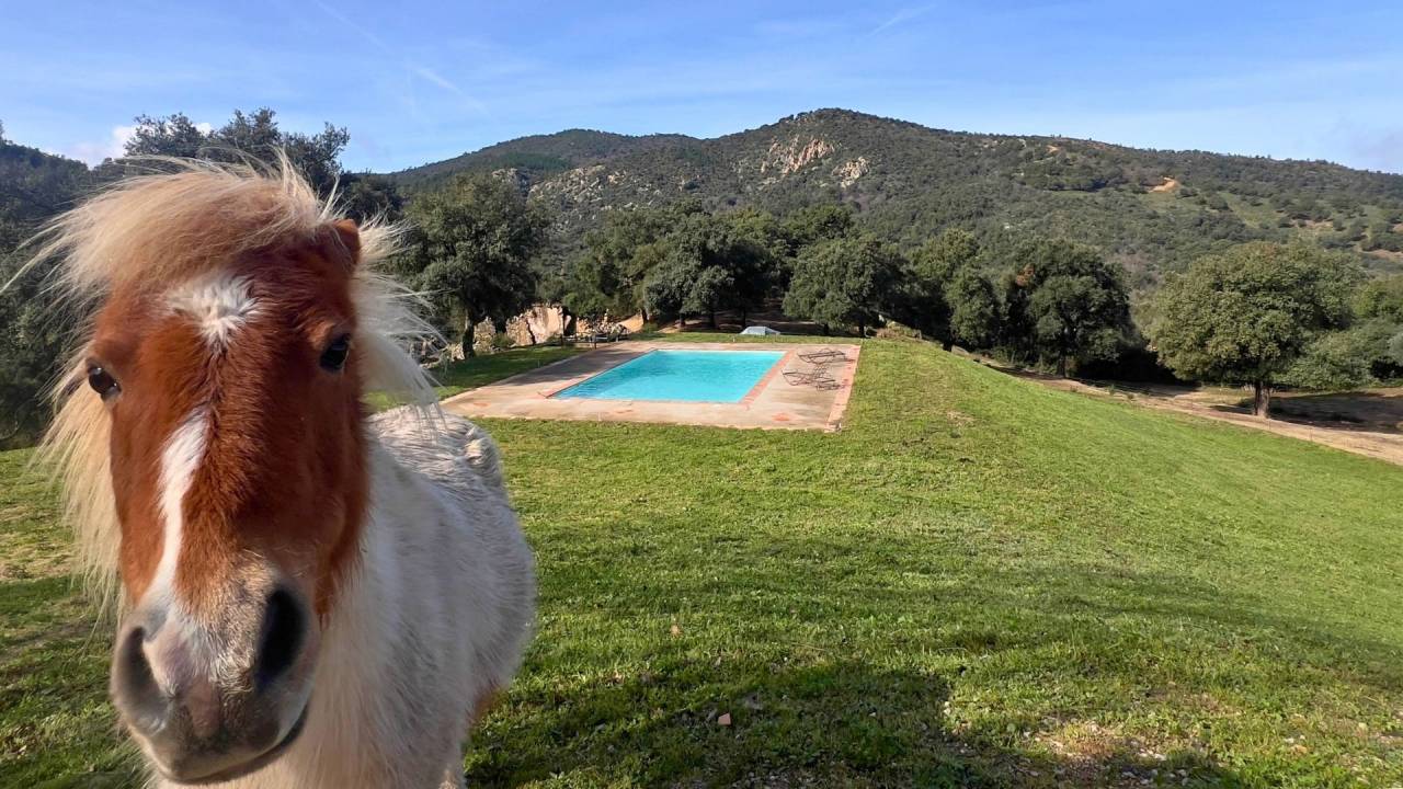 Mooi hippisch vastgoed Koop Var