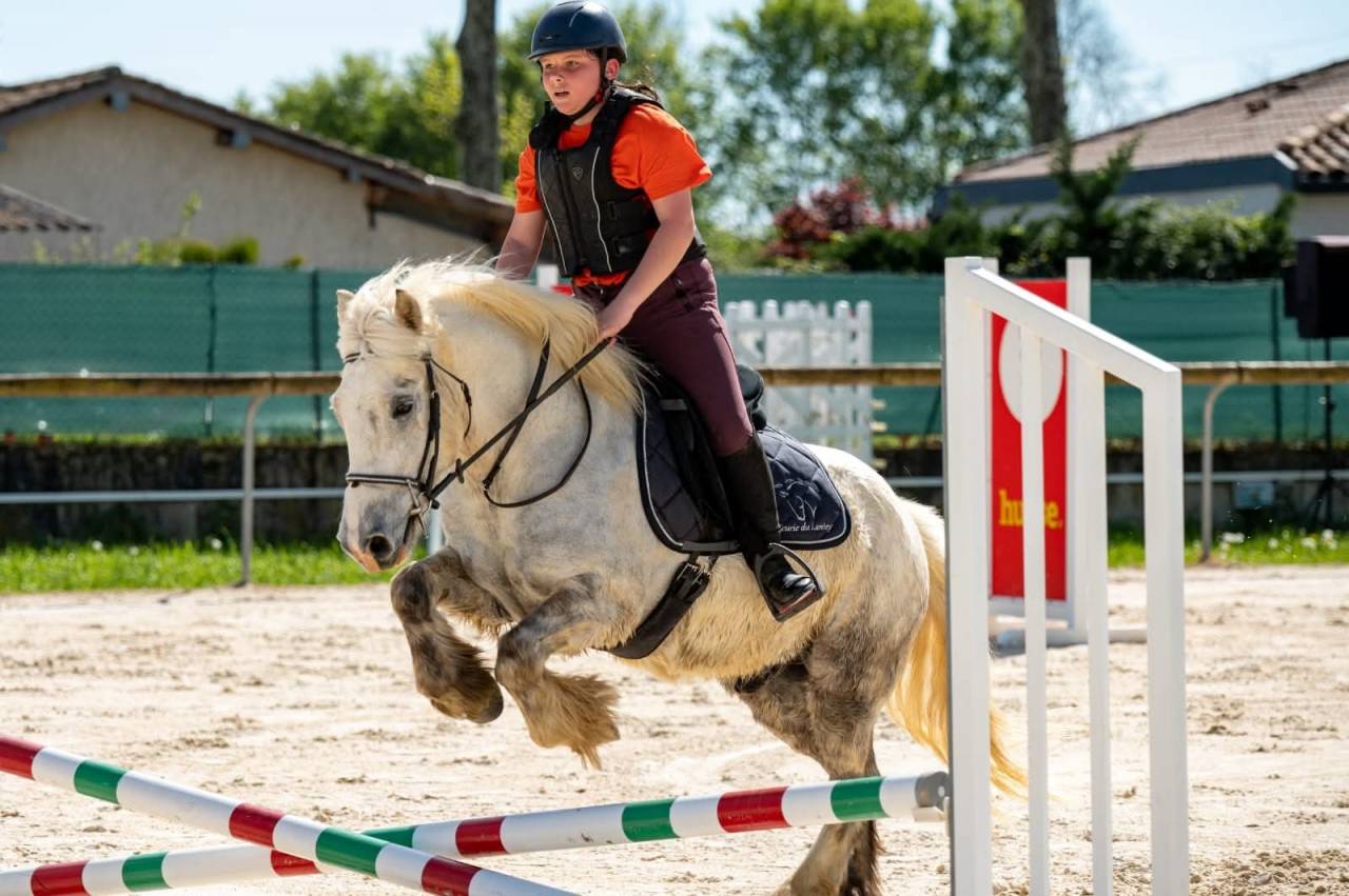 Ruin Ras onbekend Te koop 2015 Schimmel