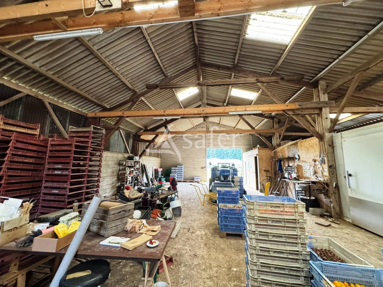 Kippen exploitatie Koop Seine-et-Marne