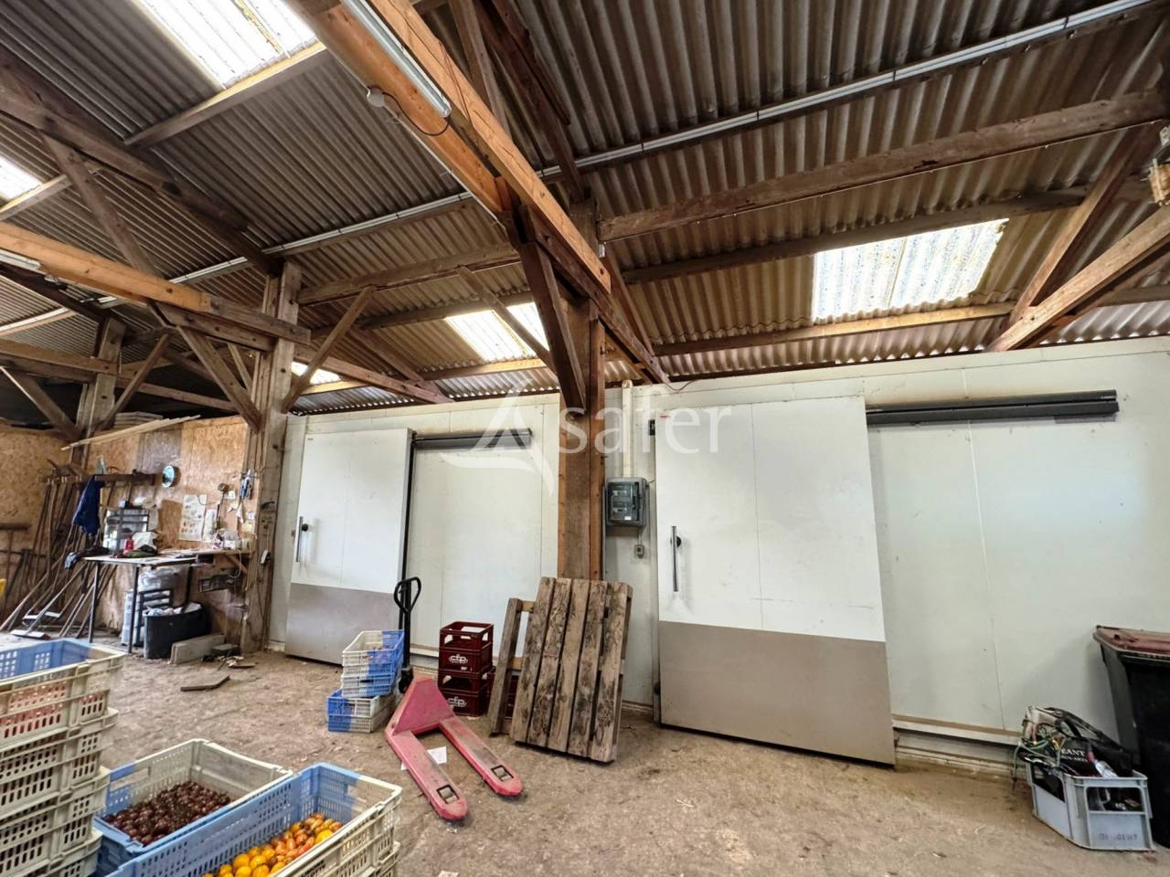 Kippen exploitatie Koop Seine-et-Marne