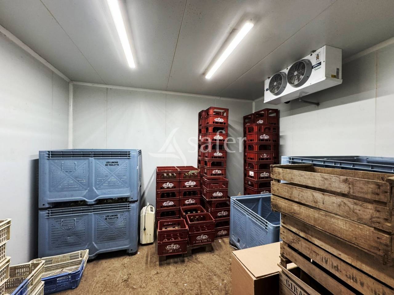 Kippen exploitatie Koop Seine-et-Marne