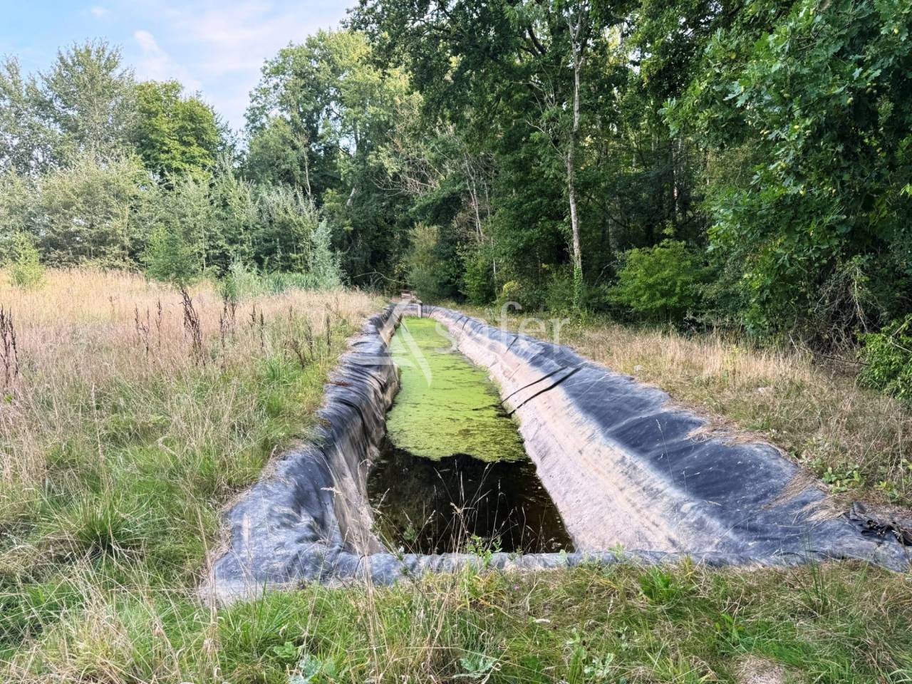 Kippen exploitatie Koop Seine-et-Marne