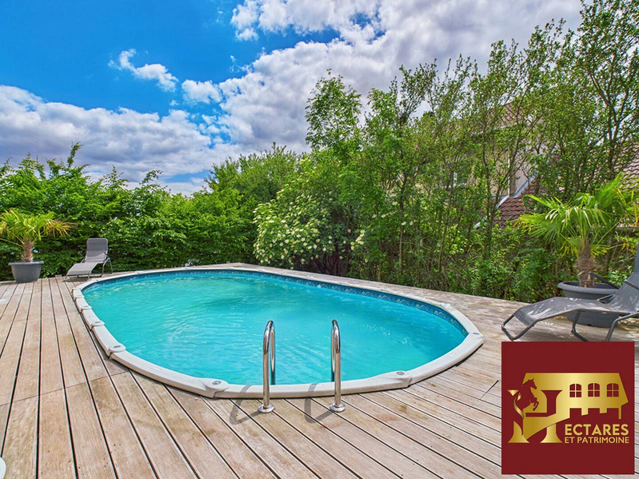 Hippisch vastgoed Koop Meurthe-et-Moselle