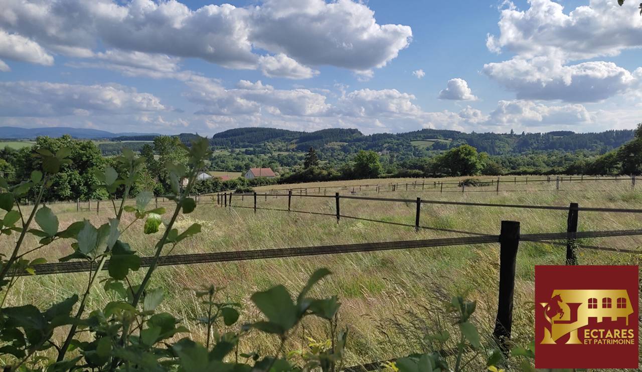 Paarden accommodatie Koop Allier