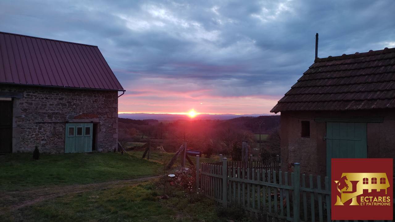 Paarden accommodatie Koop Allier