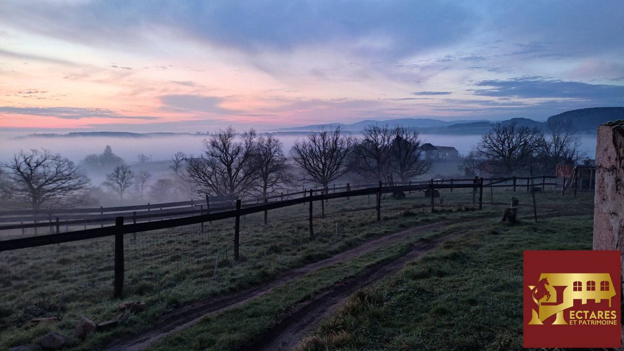 Paarden accommodatie Koop Allier