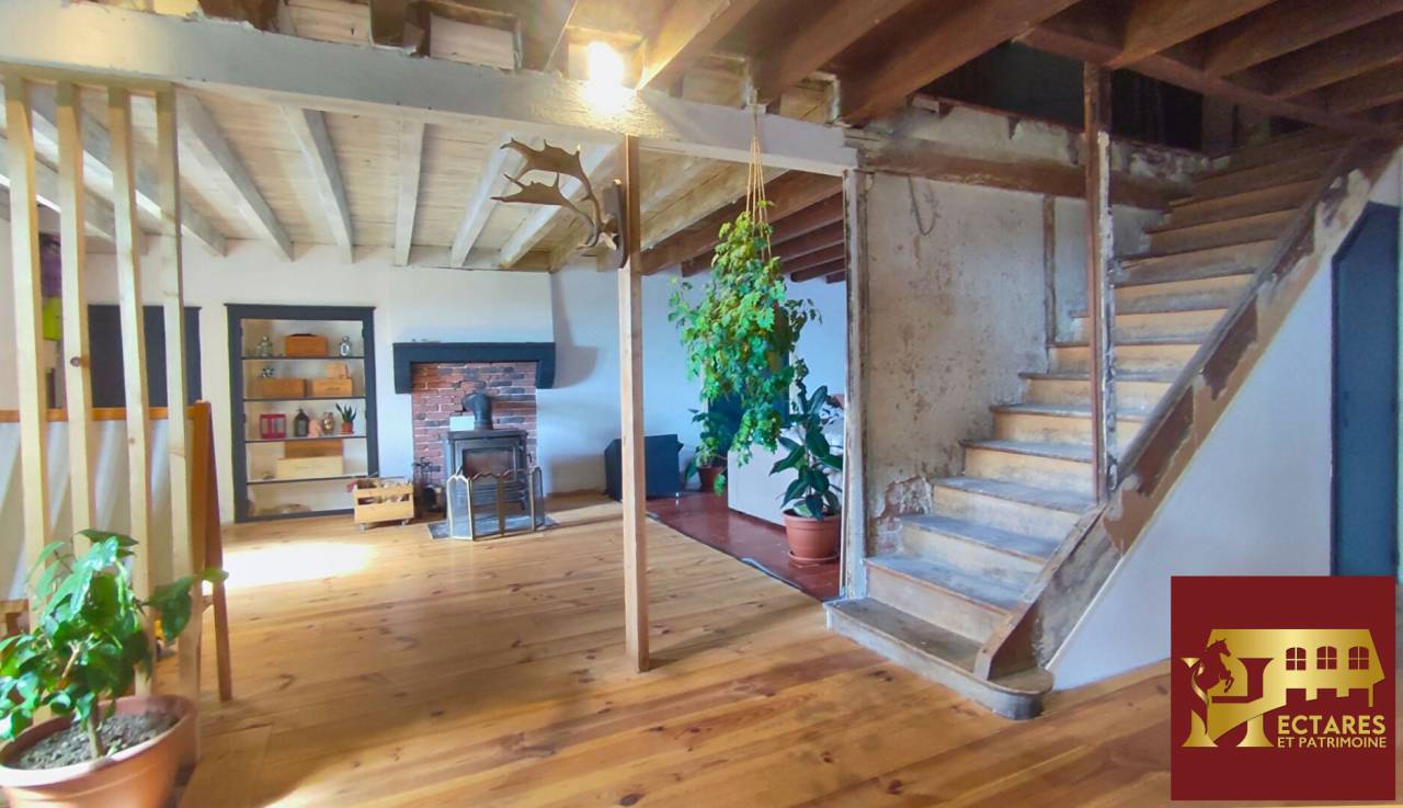 Paarden accommodatie Koop Allier