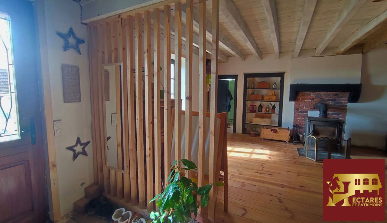 Paarden accommodatie Koop Allier