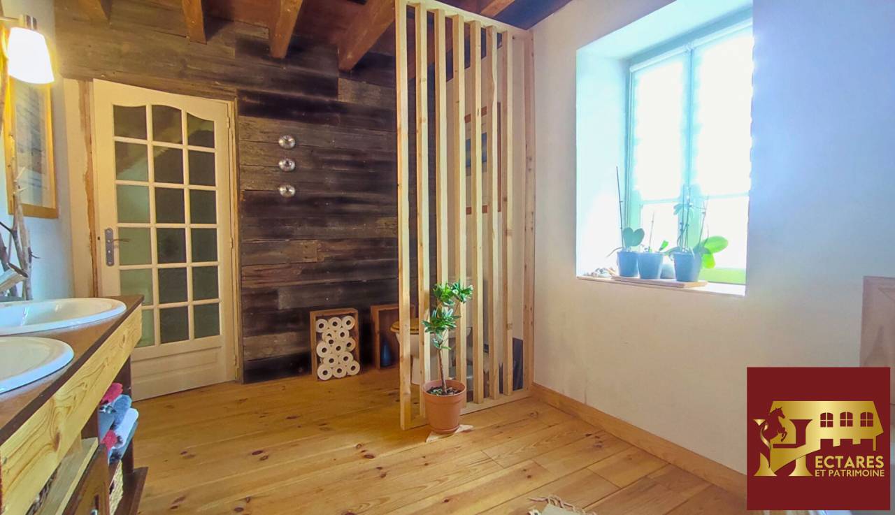 Paarden accommodatie Koop Allier