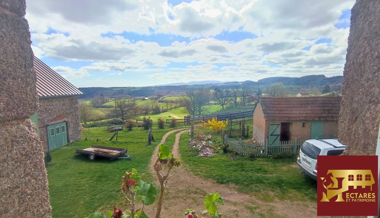 Paarden accommodatie Koop Allier