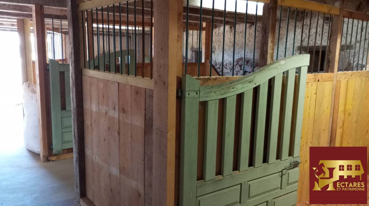 Paarden accommodatie Koop Allier