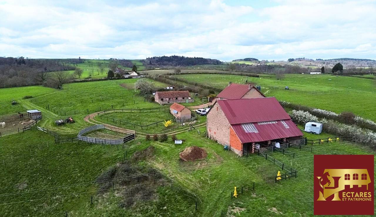 Paarden accommodatie Koop Allier