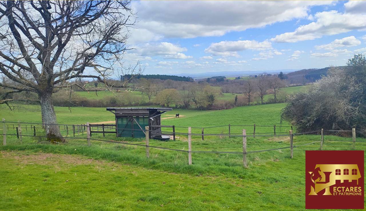 Paarden accommodatie Koop Allier