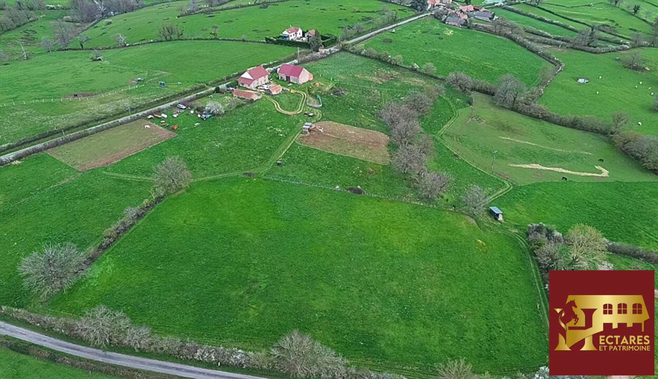 Paarden accommodatie Koop Allier