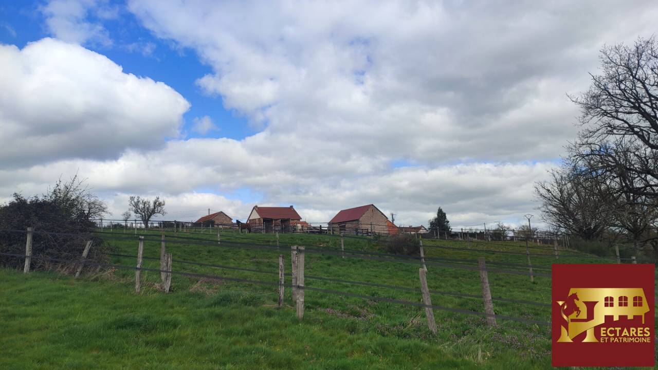 Paarden accommodatie Koop Allier