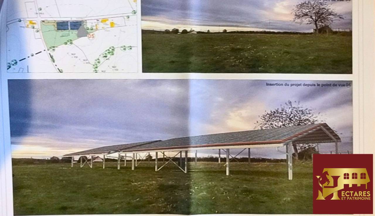 Paarden accommodatie Koop Allier