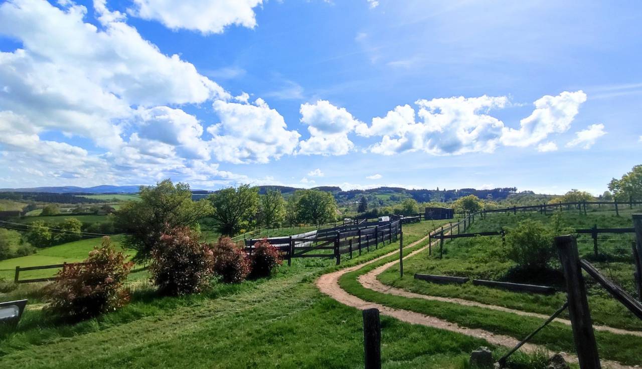 Paarden accommodatie Koop Allier