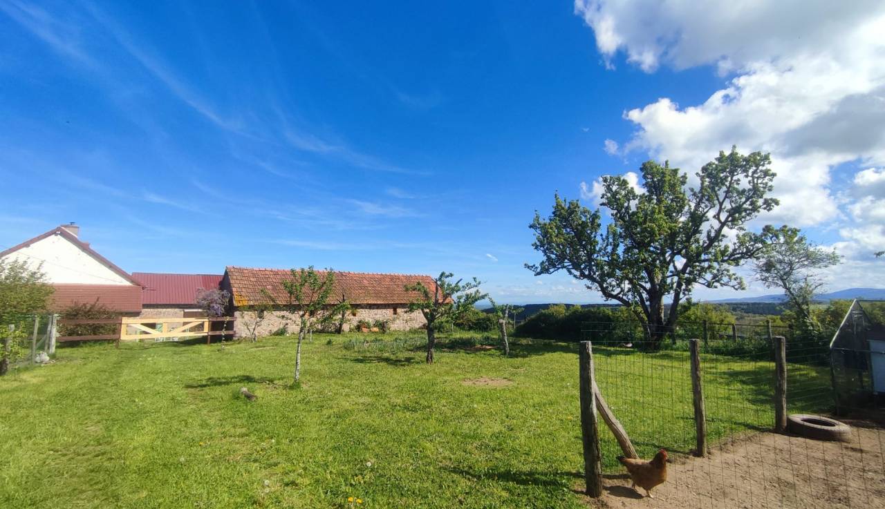 Paarden accommodatie Koop Allier