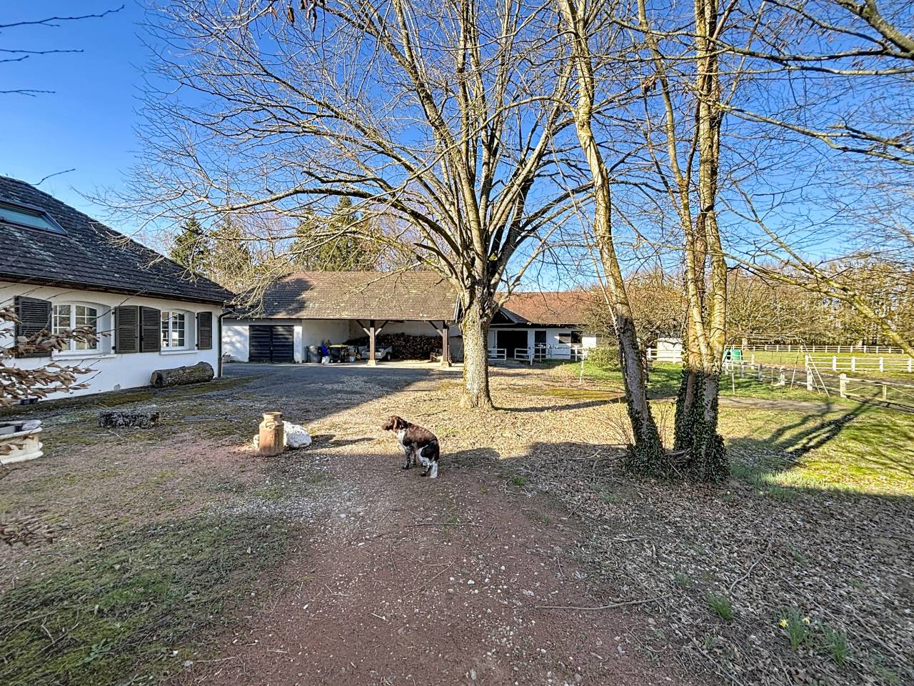 Mooi hippisch vastgoed Koop Ain