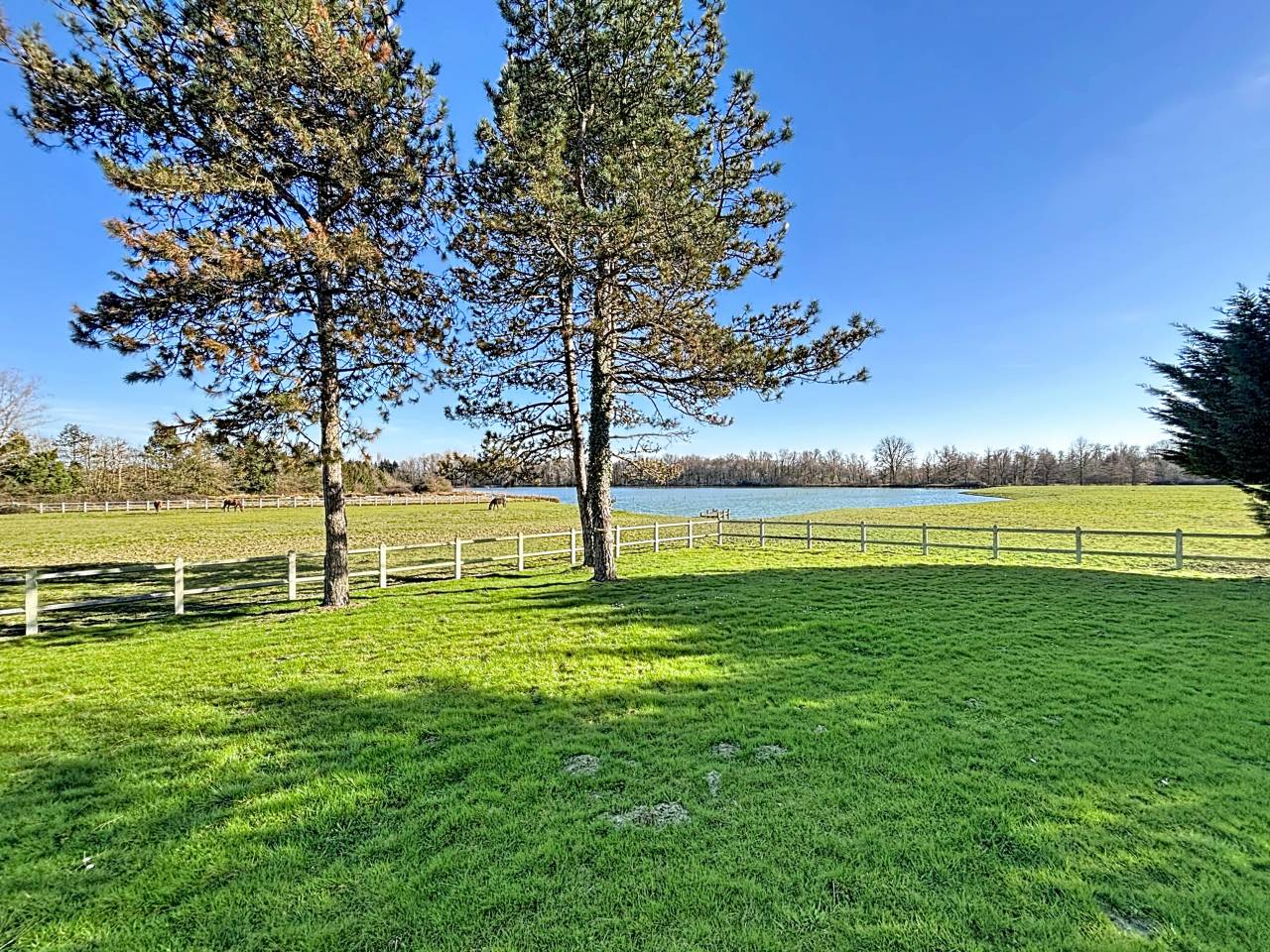 Mooi hippisch vastgoed Koop Ain