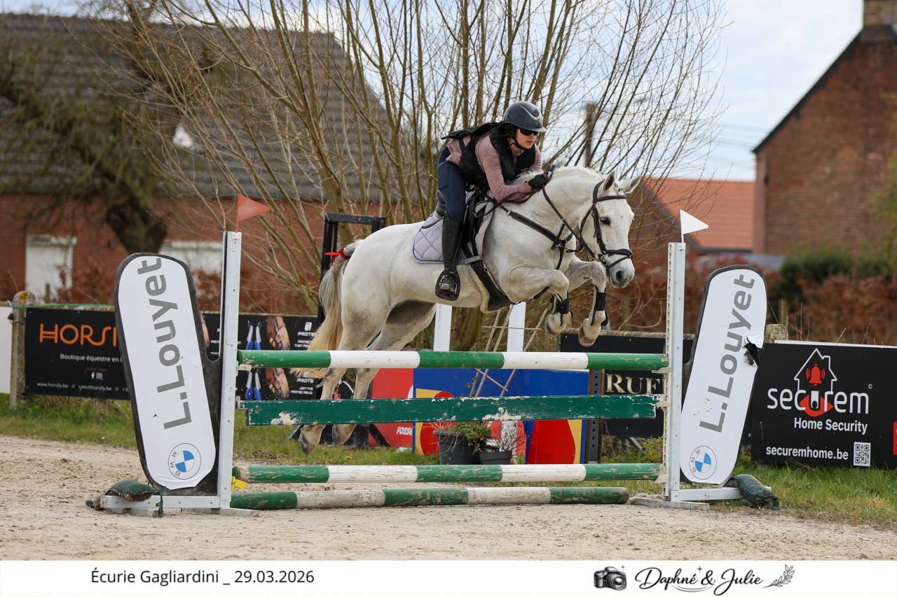 Ruin Andere pony rassen Te koop 2019 Wit