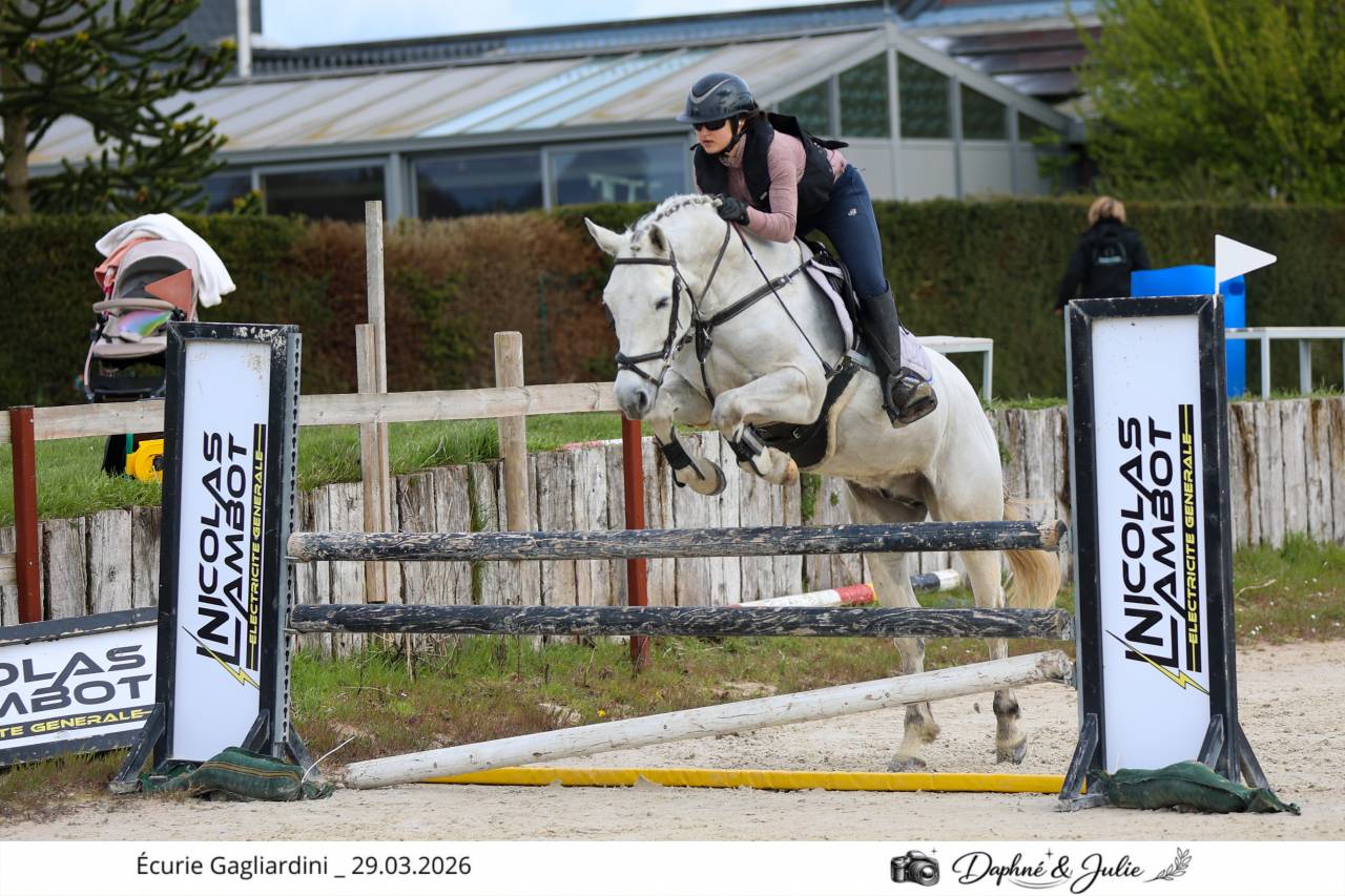 Ruin Andere pony rassen Te koop 2019 Wit