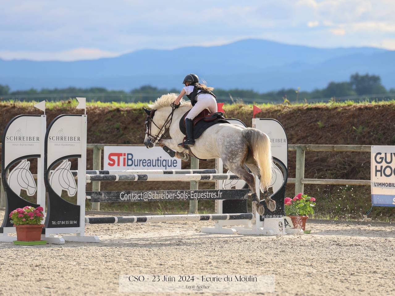 Merrie Andere pony rassen Te koop 2012 Schimmel