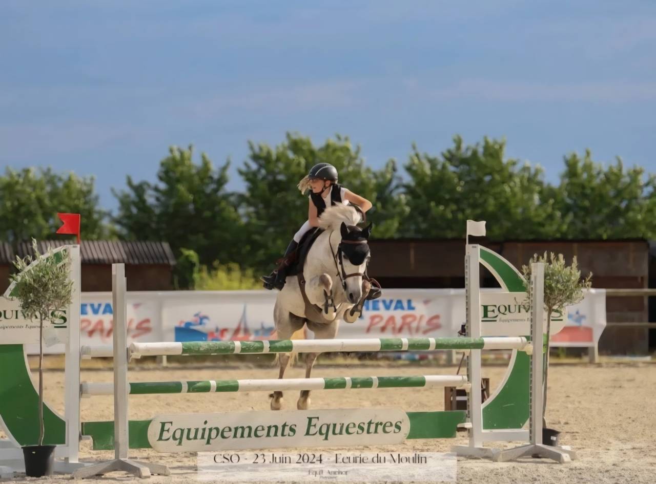 Merrie Andere pony rassen Te koop 2012 Schimmel
