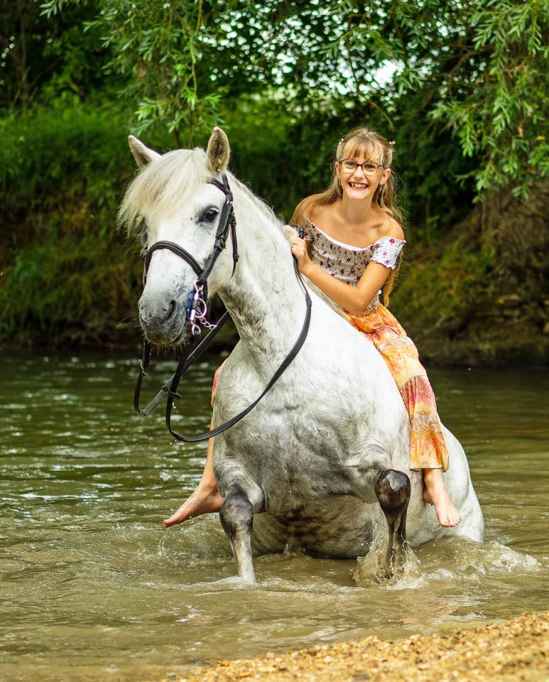 Merrie Andere pony rassen Te koop 2012 Schimmel