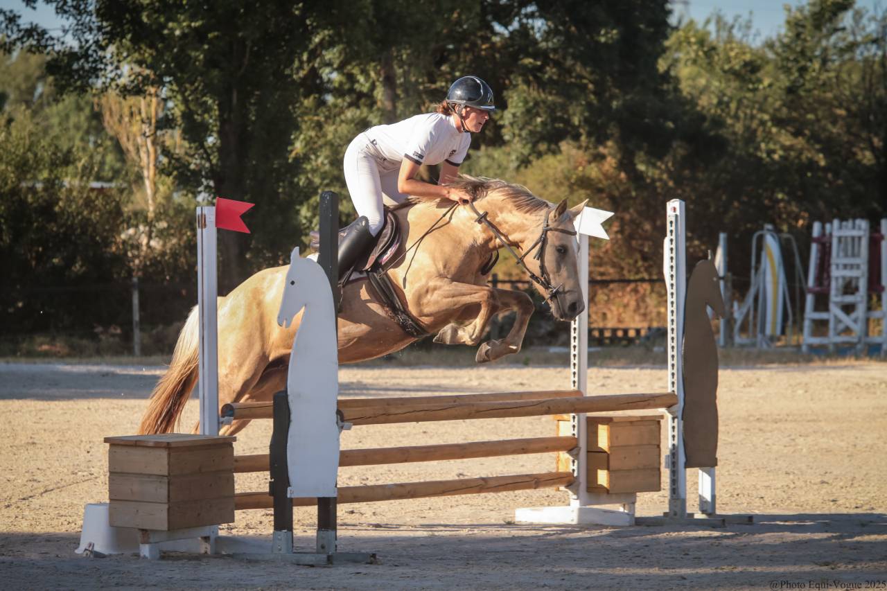 Merrie Bekend ras Te koop 2022 Palomino ,  A GENUINE TEETOY