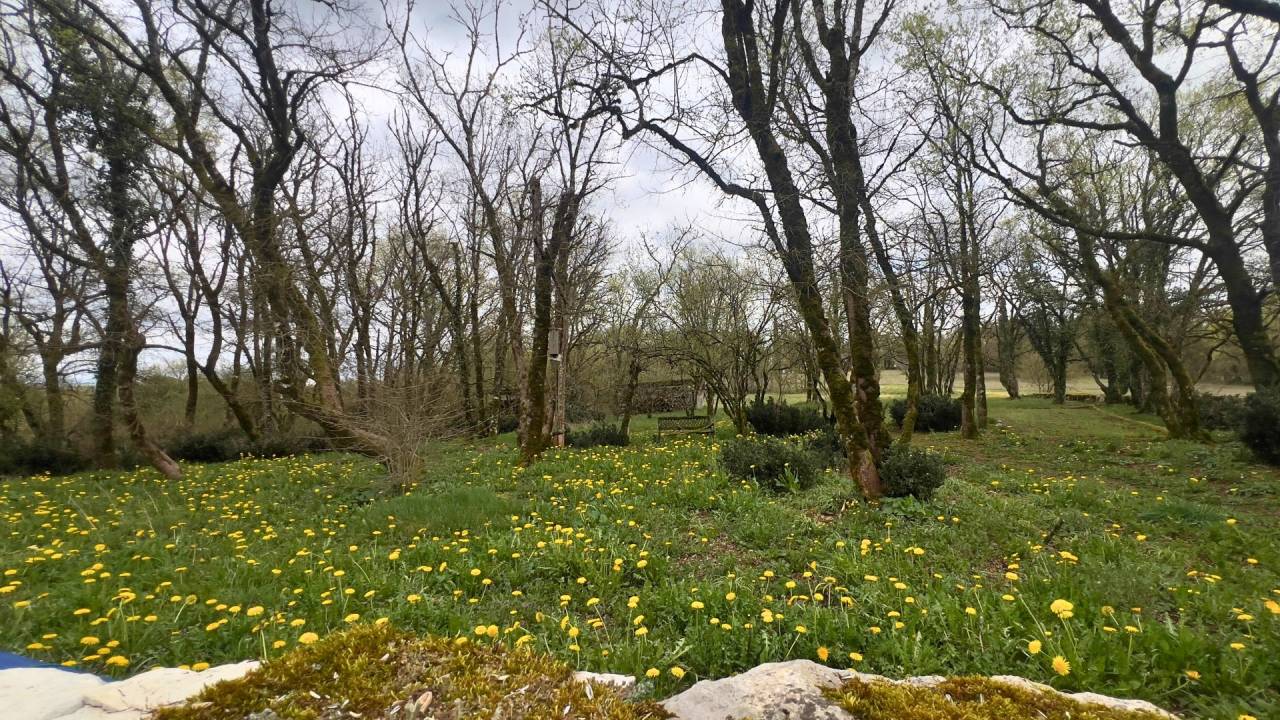Mooi hippisch vastgoed Koop Lot
