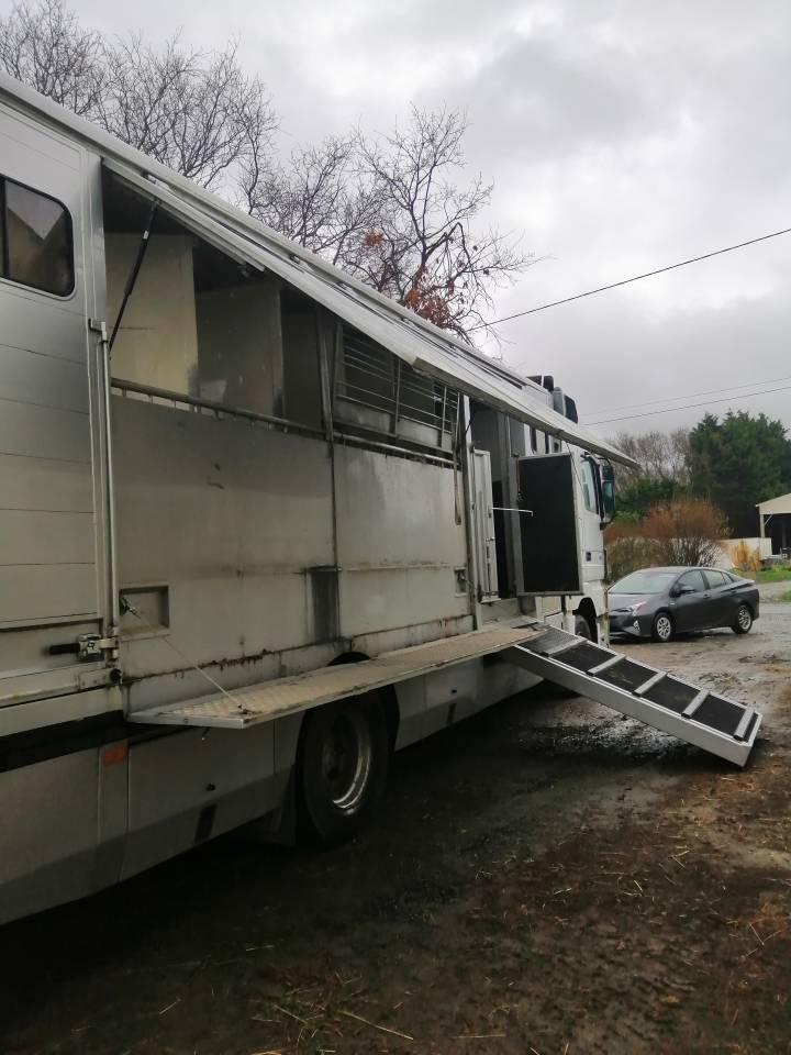 Zware paardenvrachtwagen (groot rijbewijs) Mercedes Actros  2005 Tweedehands